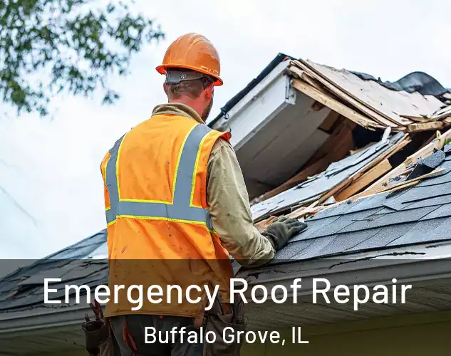  Emergency Roof Repair Buffalo Grove, IL