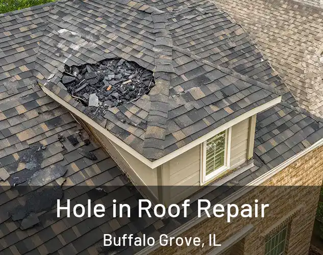  Hole in Roof Repair Buffalo Grove, IL