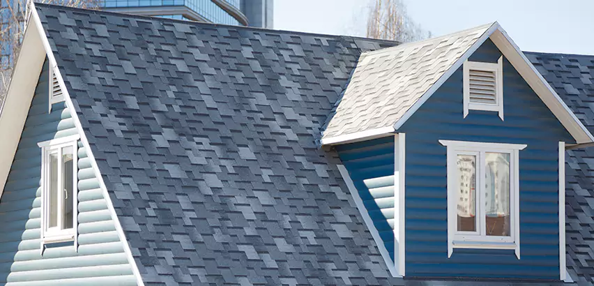 Shingle Roof Maintenance in Buffalo Grove