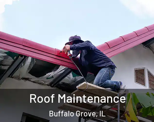  Roof Maintenance Buffalo Grove, IL