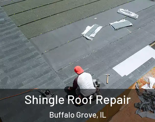  Shingle Roof Repair Buffalo Grove, IL